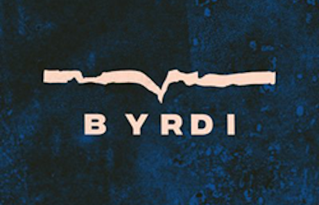 Byrdi