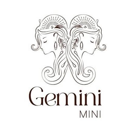 Gemini Mini