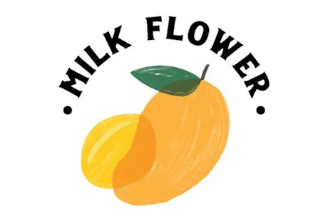 Milk Flower Cockburn