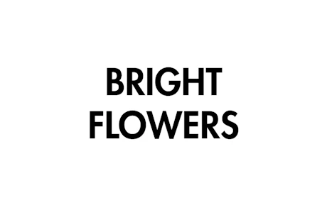 Bright Flowers