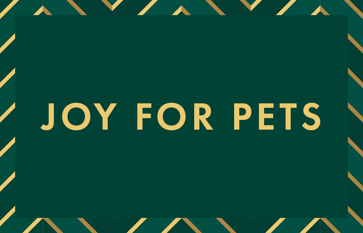 Christmas gift ideas for pets