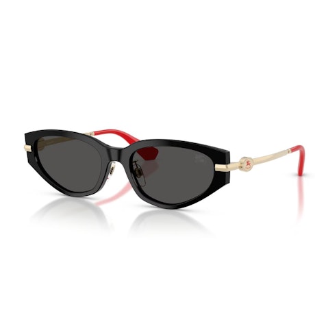 Burberry BE4493D sunglasses