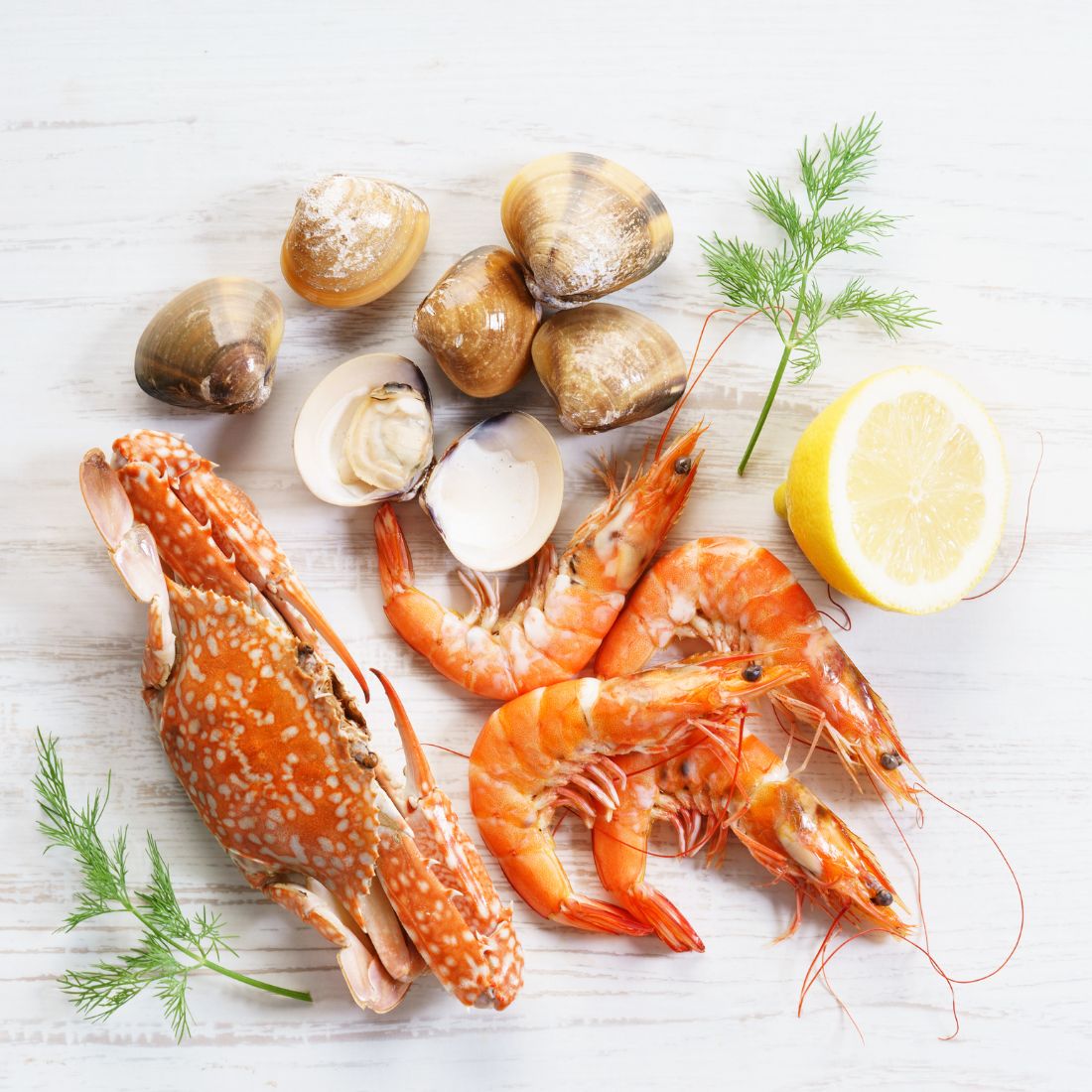 Macquarie Seafood