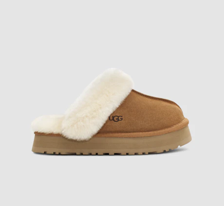 Ugg Disquette