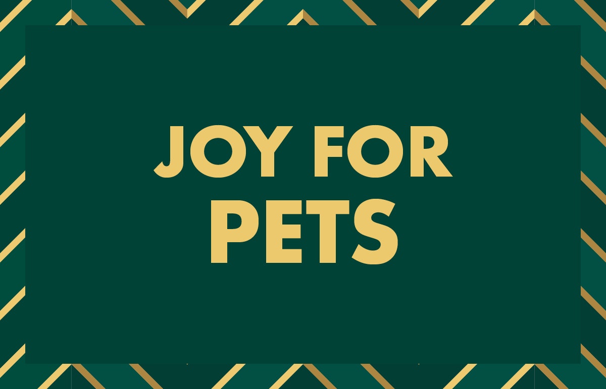 Christmas gift ideas for your pets